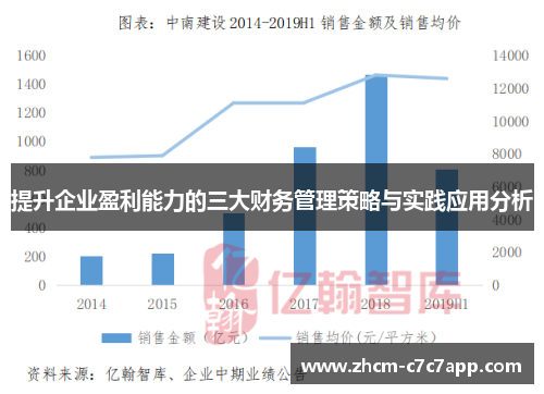 提升企业盈利能力的三大财务管理策略与实践应用分析